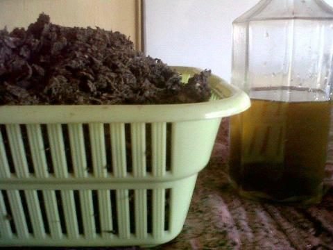 Basket of pressed oil cake next to a bottle of freshly pressed plant oil